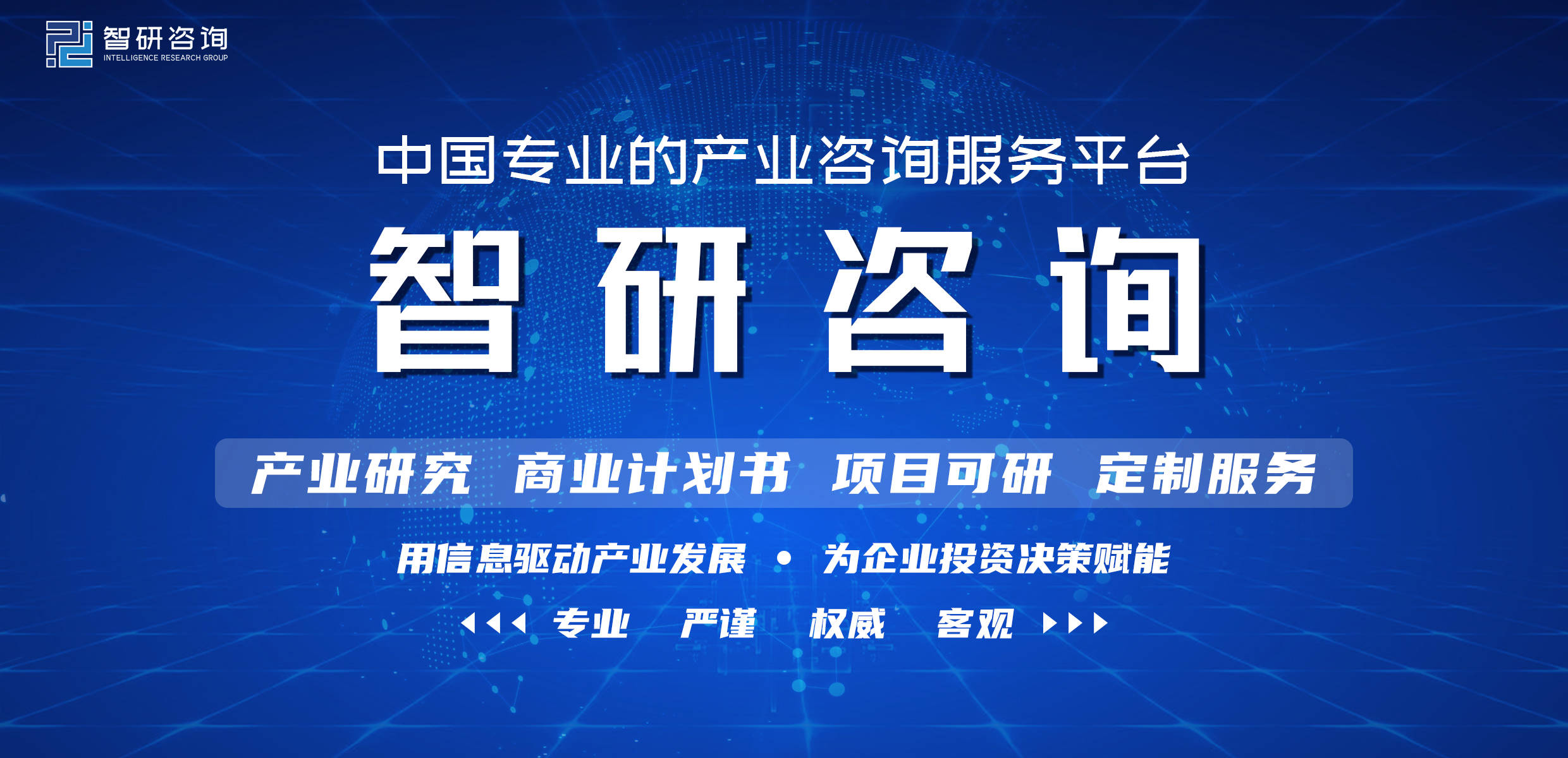 中国豆浆机行业市场现状调查及投资发展潜力报告(2022-206t体育28)(图1)